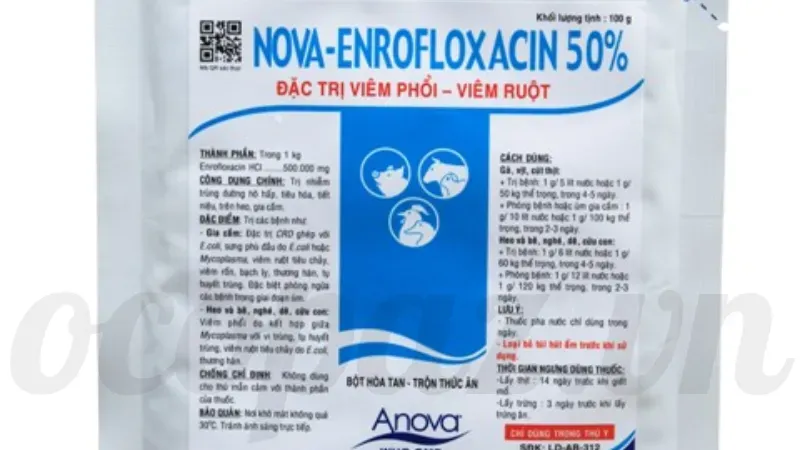 Hướng dẫn xử lý bệnh Ecoli trên gà cho trang trại chăn nuôi 6