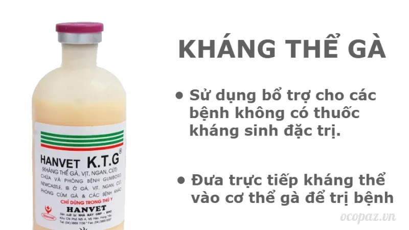 Tiêm phòng vaccine và bổ sung kháng thể