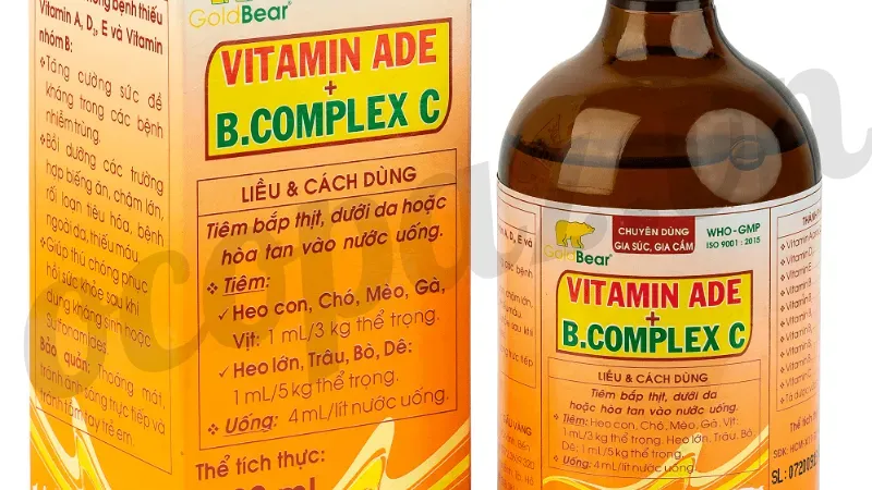 Bổ sung vitamin và khoáng chất