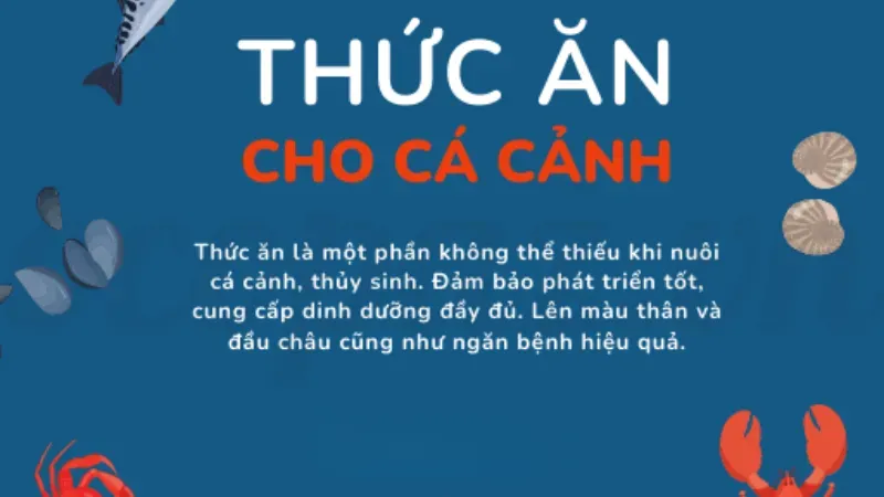 Các dấu hiệu bệnh xuất huyết ở cá cảnh và cách xử lý nhanh 5