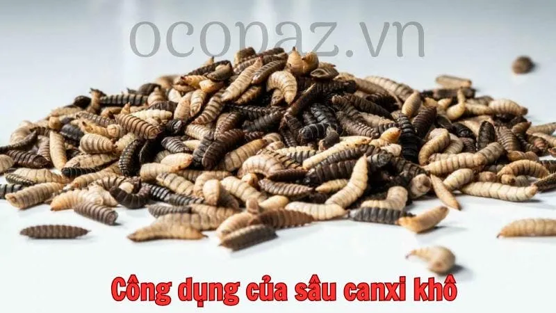 Công dụng của sâu canxi khô