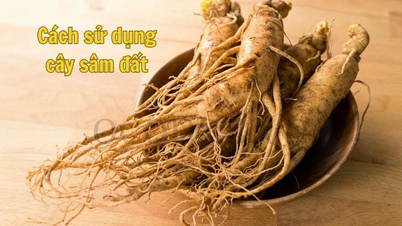 Cách sử dụng cây sâm đất