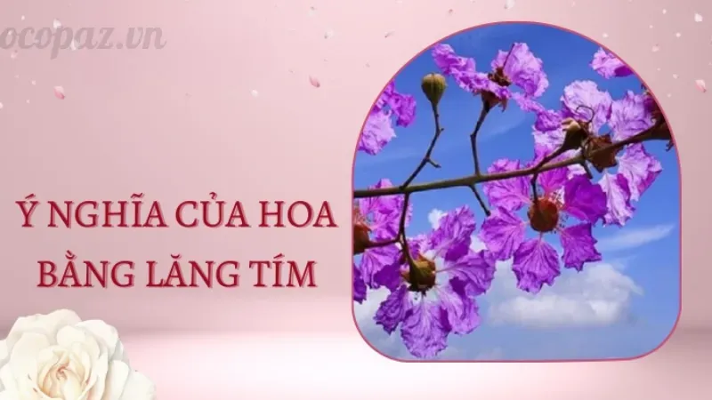 Hoa bằng lăng - Ý nghĩa và cách chăm sóc hoa tốt nhất 3