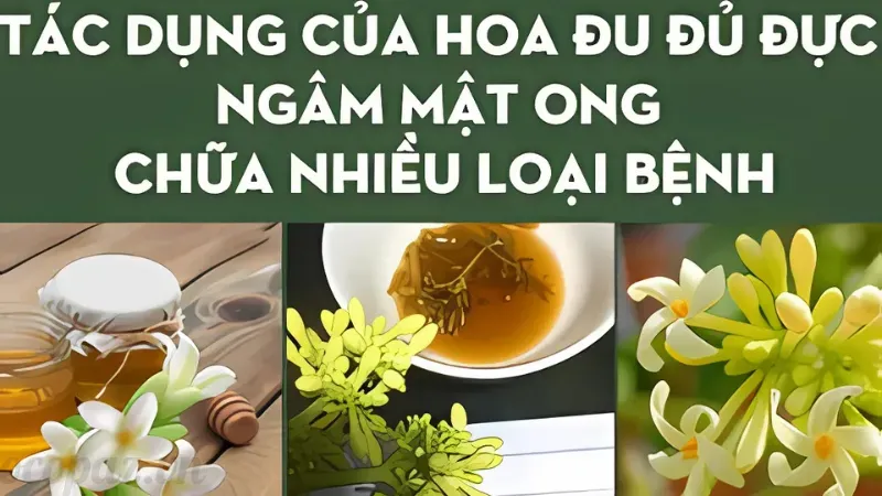 Tìm hiểu về hoa đu đủ đực - Công dụng và cách sử dụng 2