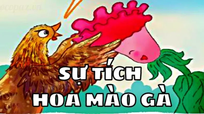 Hoa mào gà - Ý nghĩa phong thủy và cách chăm sóc đúng cách 2