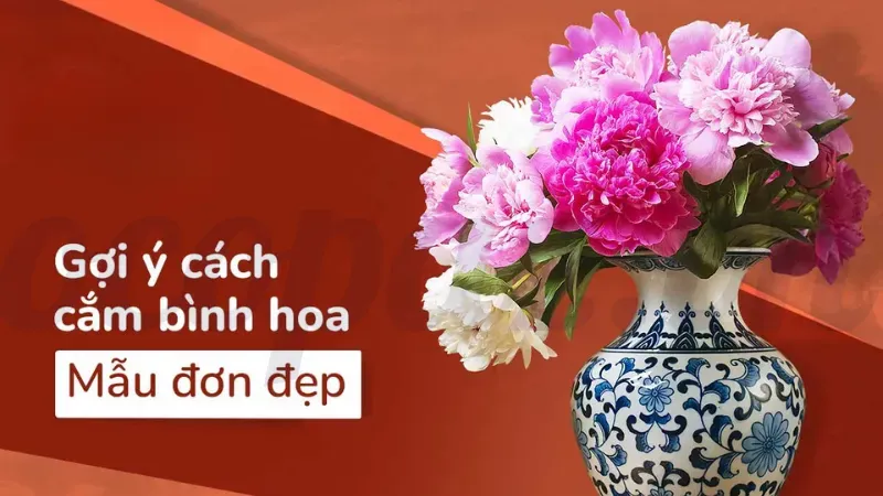 Hoa mẫu đơn - Ý nghĩa phong thủy và cách trồng đúng cách 8