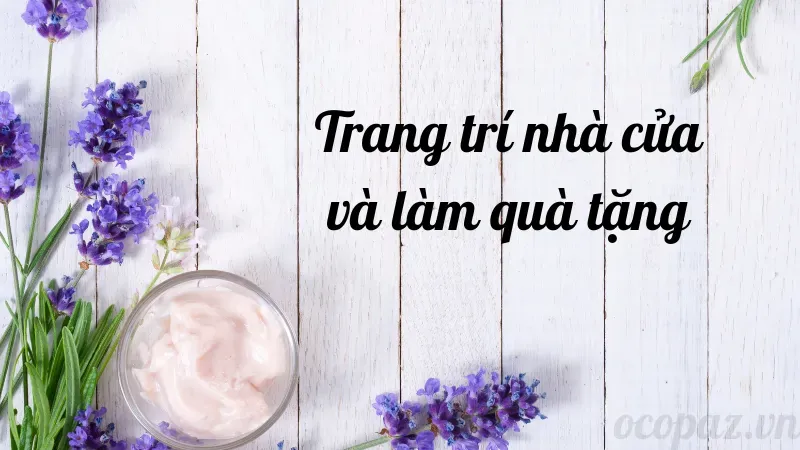 Lợi ích của hoa oải hương trong việc giảm căng thẳng, lo âu 7