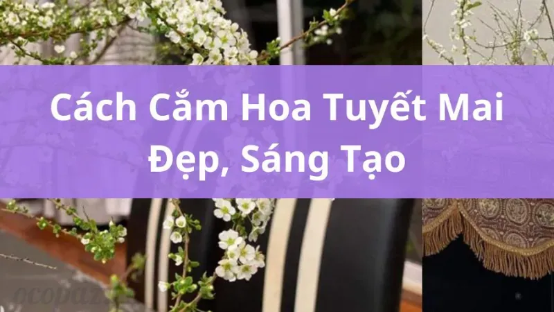 Lợi ích của việc trồng hoa tuyết mai trong không gian sống 8