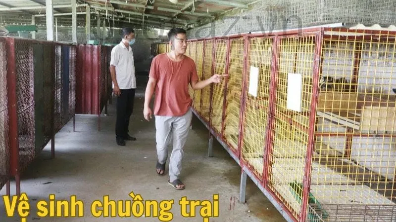 Vệ sinh chuồng trại