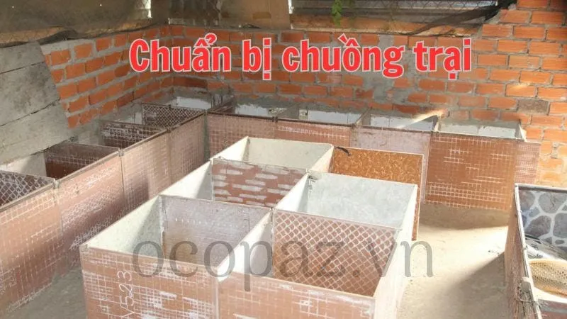 Chuẩn bị chuồng trại