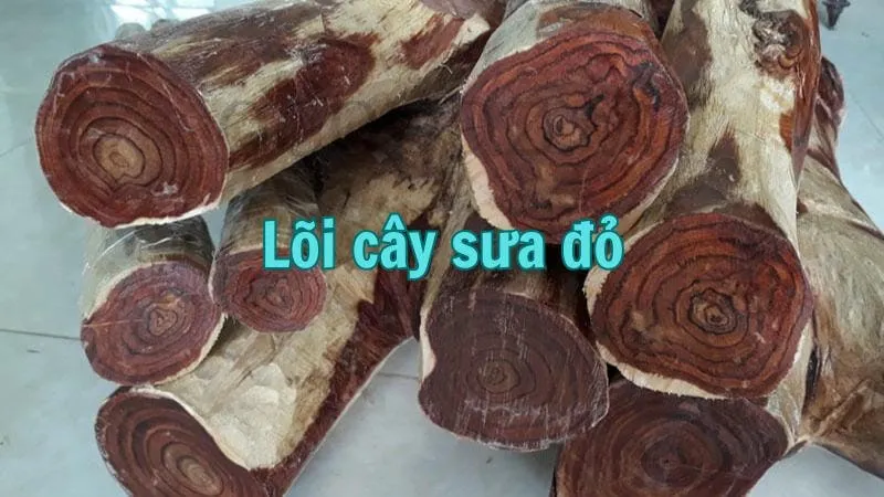 Lõi cây sưa đỏ