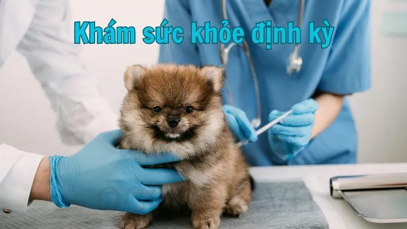 Khám sức khỏe định kỳ