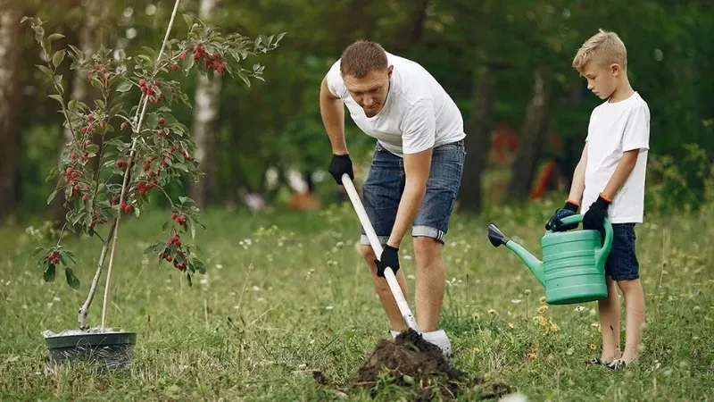 Cách chọn phân bón cho cây ăn quả giúp tăng năng suất 3