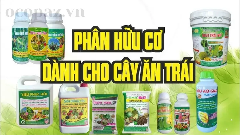 Cách chọn phân bón cho cây ăn quả giúp tăng năng suất 4