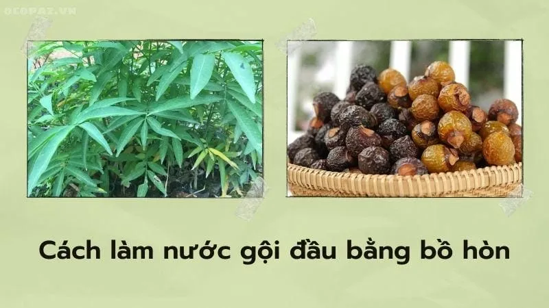 Cách làm nước gội đầu bằng bồ hòn