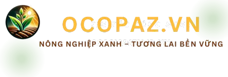 logo website Ocopaz.vn sáng