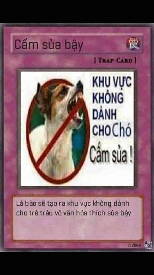 Bộ bài yugioh meme mang đến tiếng cười sảng khoái.