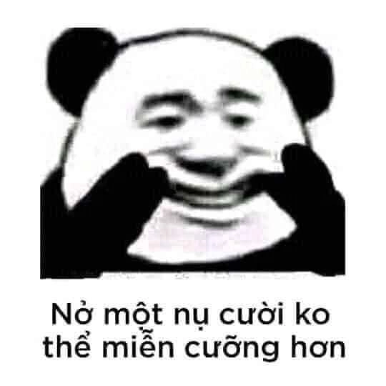 Meme mèo cười nhe răng siêu độc đáo và thú vị.