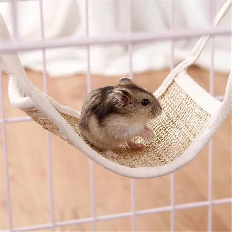 Meme hình ảnh chuột hamster hài hước cực kỳ đáng yêu.