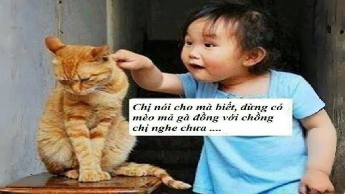 Vui vẻ không quạo meme lan tỏa niềm vui dễ thương.