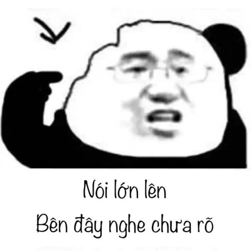 Vui nhộn meme gấu trúc bựa weibo cực hài.