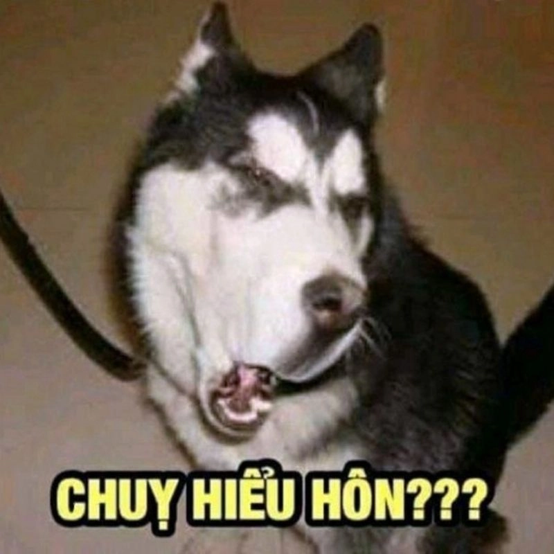 Và con tim đã vui trở lại meme hài hước và thú vị.