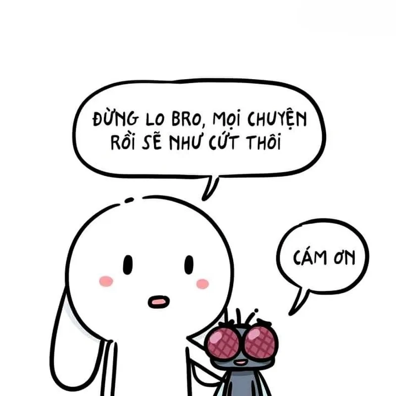 Meme thỏ cute là sự kết hợp tuyệt vời giữa dễ thương và hài hước.