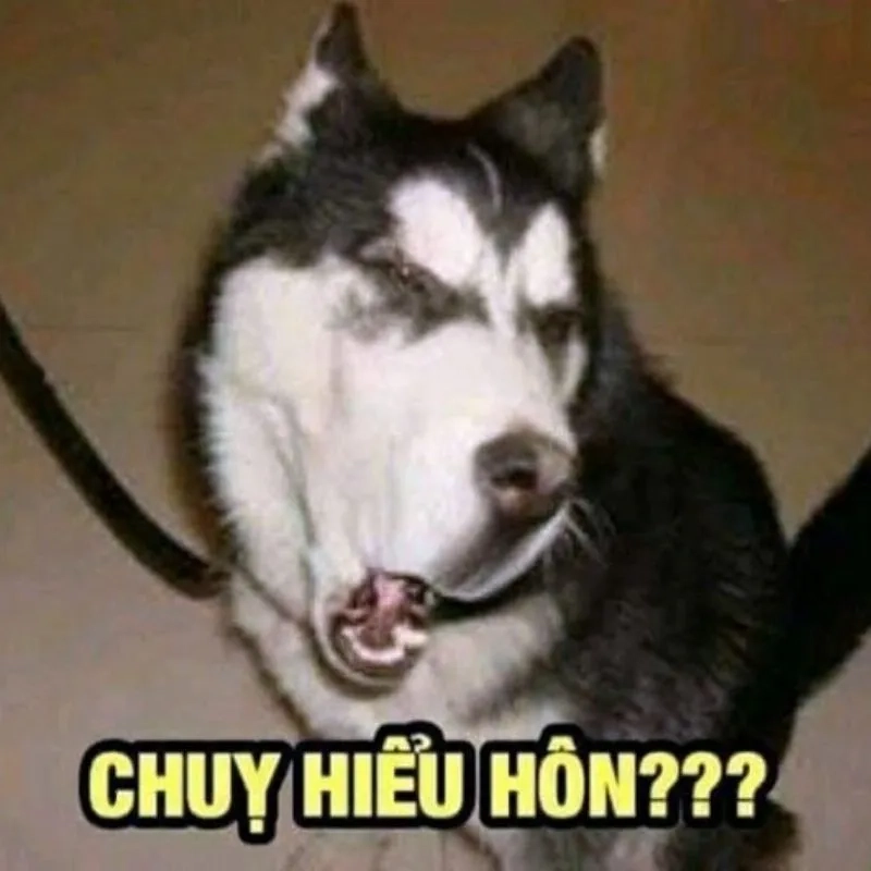 Ảnh meme hài hước bựa sẽ khiến bạn bật cười ngay.