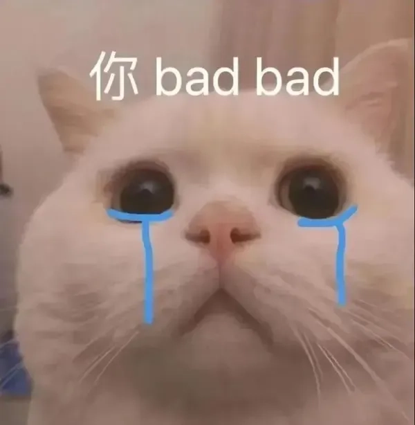 Avatar đôi meme hài tạo nên sự thú vị cho các cặp đôi.