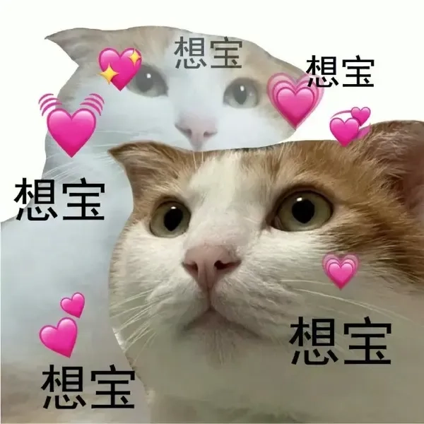 Avatar meme hài cute dễ thương và hài hước.