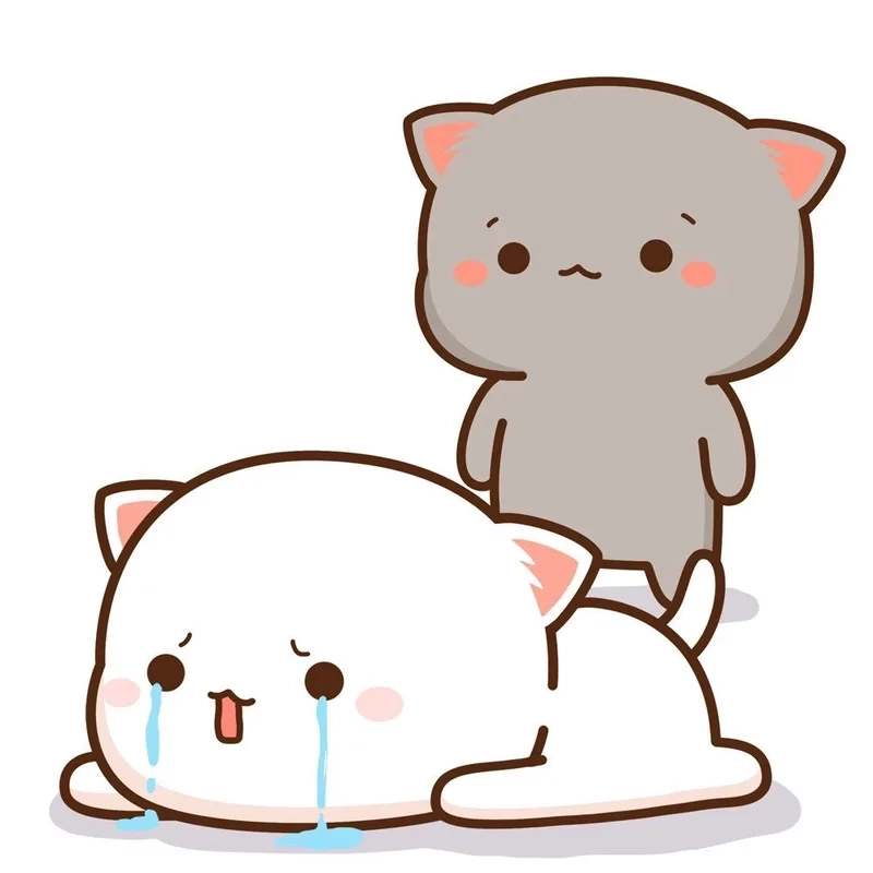 Kitten crying cats meme dễ thương với hình ảnh mèo con rơi nước mắt.