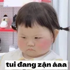 Ảnh mèo khóc meme là những bức ảnh đáng yêu và buồn bã của mèo.