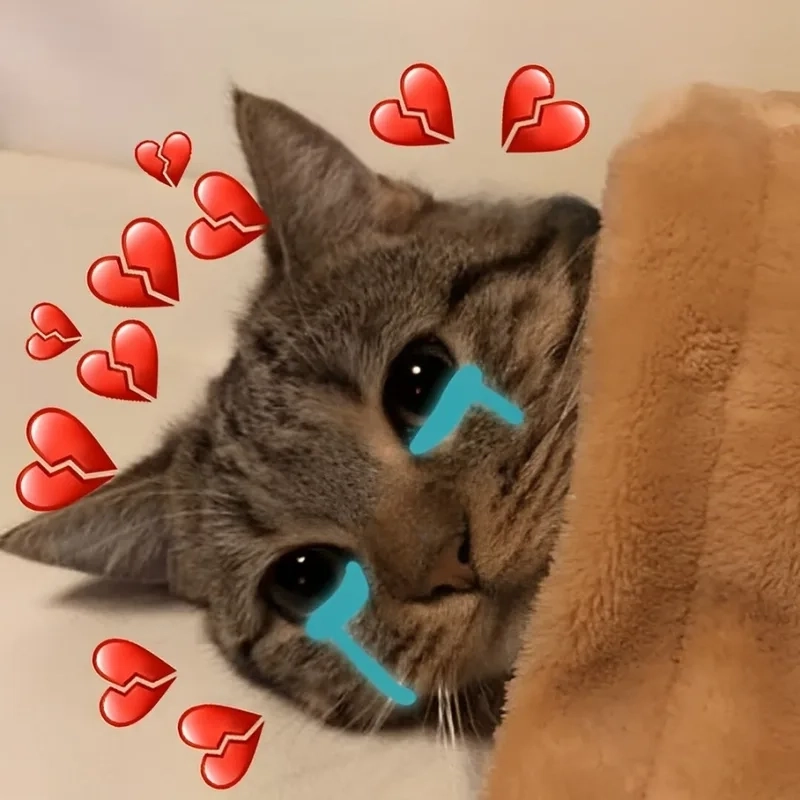 Cat meme crying mang lại niềm vui qua biểu cảm 