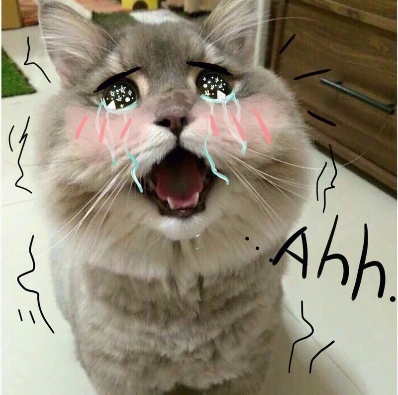 Meme cry cat kết hợp hoàn hảo giữa cảm xúc và sự hài hước.