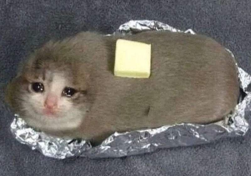 Crying banana cat meme siêu sáng tạo và thú vị.