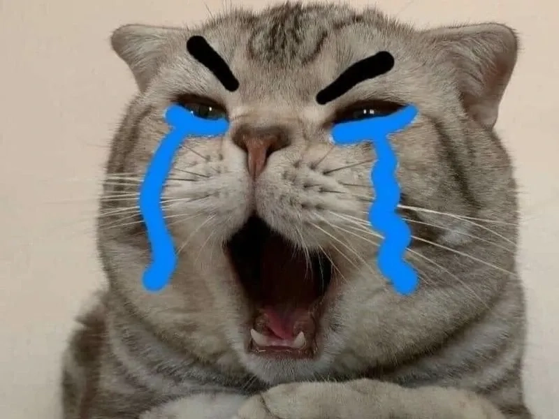 Crying pepe meme là một trong những meme đặc trưng với hình ảnh buồn của Pepe.