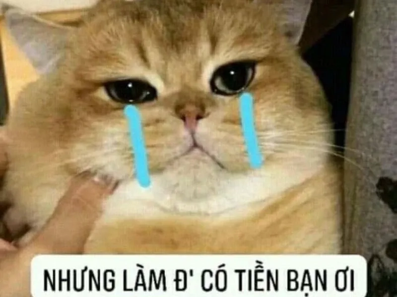 Meme jerry crying biểu cảm buồn nhưng cười không ngừng.