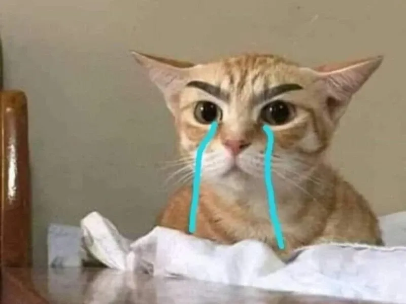 Angry crying meme ngộ nghĩnh nhưng không kém phần buồn cười.