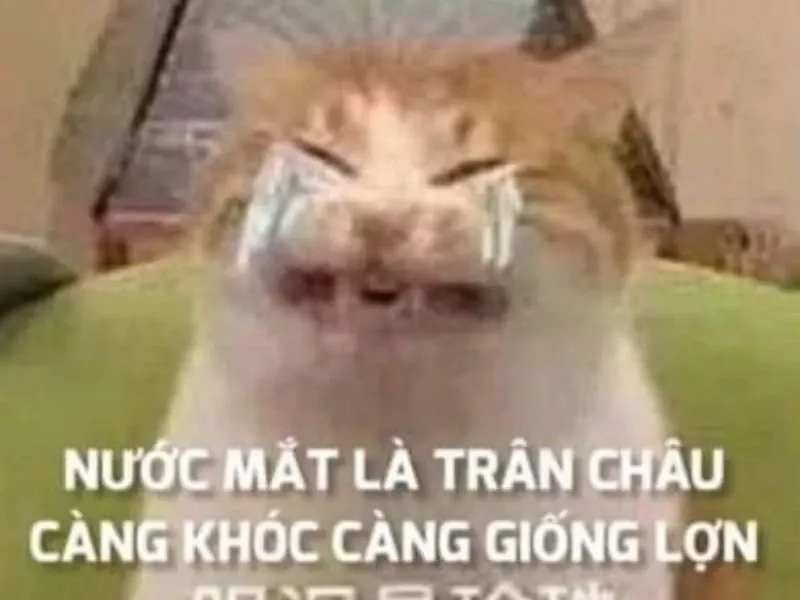 Crying jerry meme hài hước với biểu cảm buồn ngộ nghĩnh.