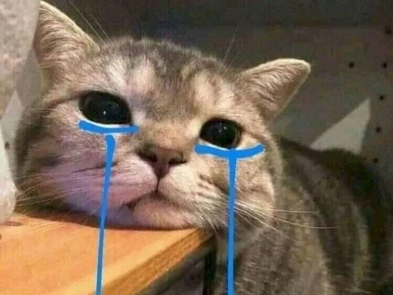 Aya asagiri crying meme thể hiện cảm xúc tuyệt vọng của nhân vật Aya Asagiri.