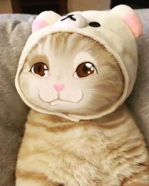 Dễ thương và hài hước với meme cute hình icon dễ thương.