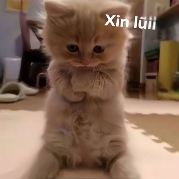 Hài hước không đỡ nổi với meme avatar bựa cute.