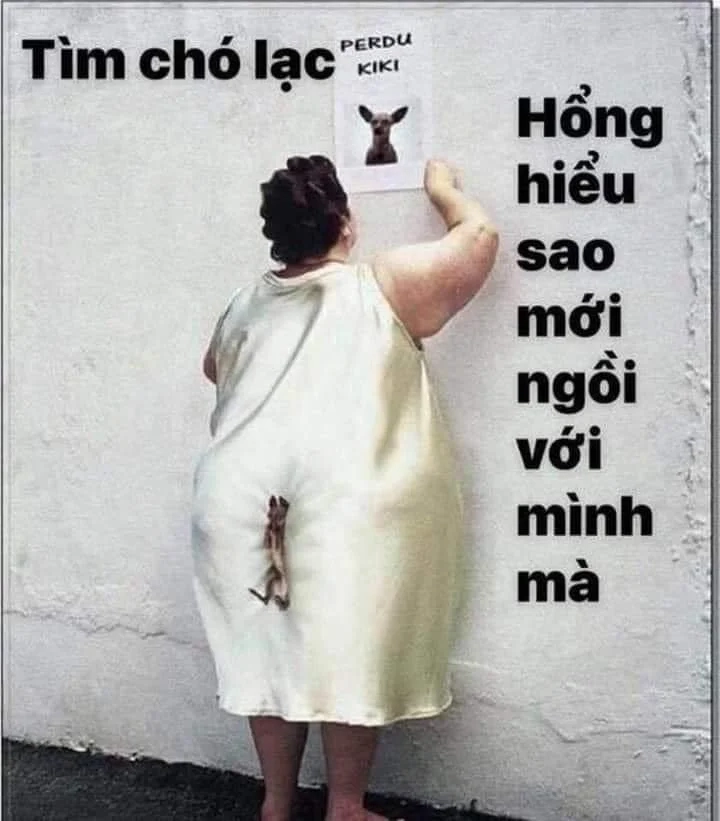 Cười sảng khoái với hình ảnh chó mèo bựa độc đáo.