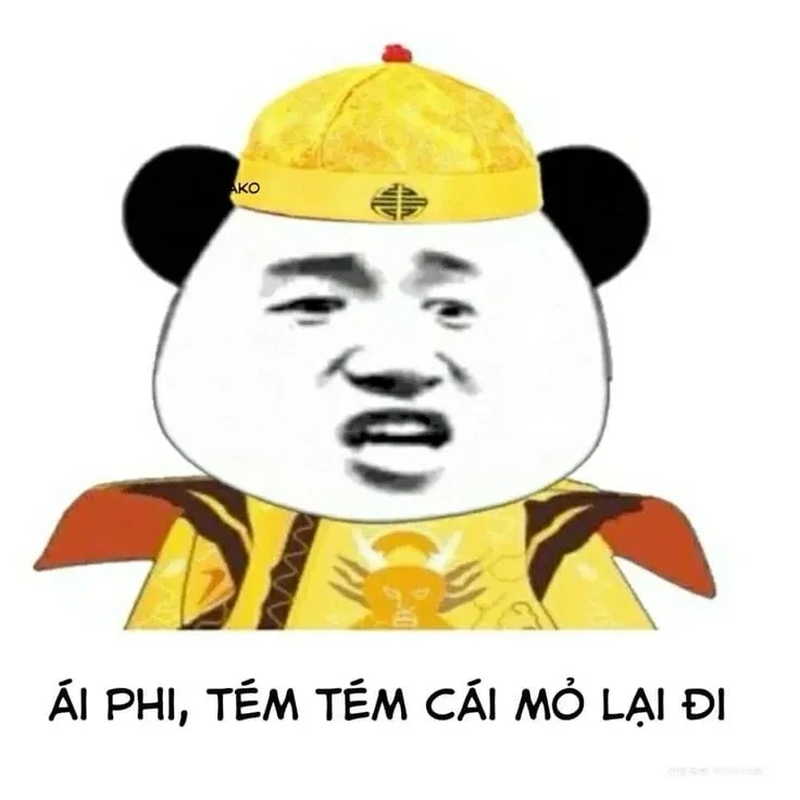 Ảnh đội quần meme dễ thương, gây chú ý.