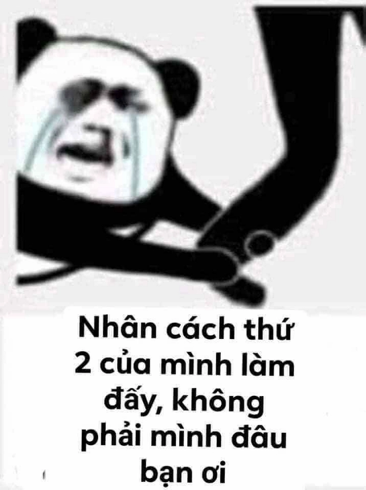 Tiếng cười bất tận với ảnh hài weibo meme gấu trúc troll face.