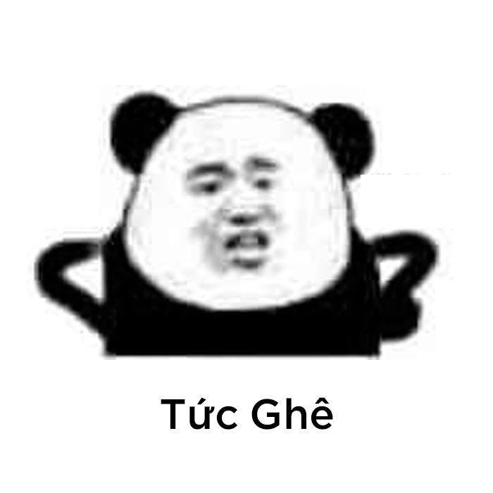 Gấu trúc meme mắt thâm với biểu cảm cực kỳ lạ và hài hước.