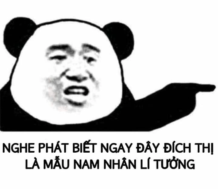 Meme gấu trúc ngang ngược cực kỳ ngộ nghĩnh và tạo nên sự chú ý mạnh mẽ.