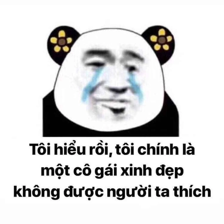 Meme gấu trúc weibo siêu dễ thương và khiến bạn không thể rời mắt.