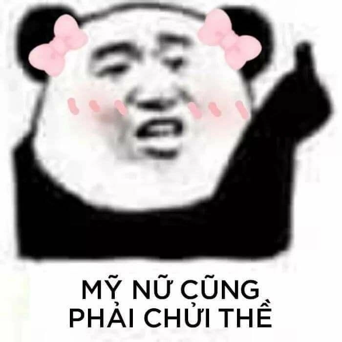 Gấu trung quốc meme luôn mang lại sự vui nhộn và dễ thương khó cưỡng lại.