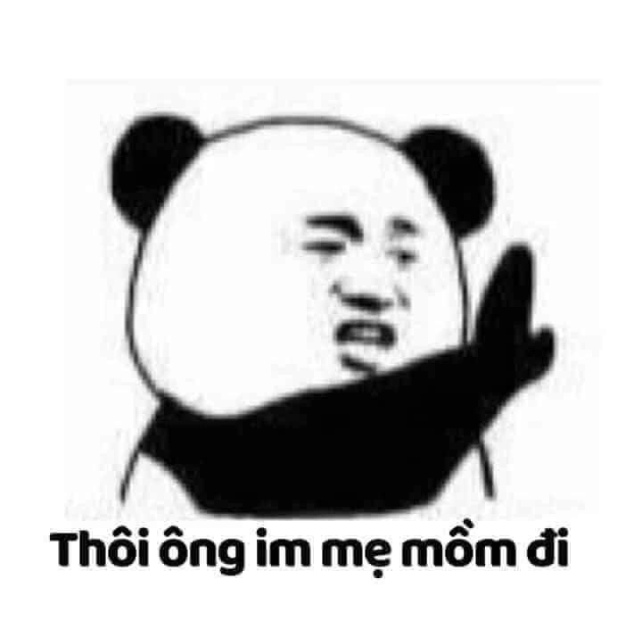 Meme gấu trúc xin lỗi dễ thương và mang lại những giây phút thư giãn.